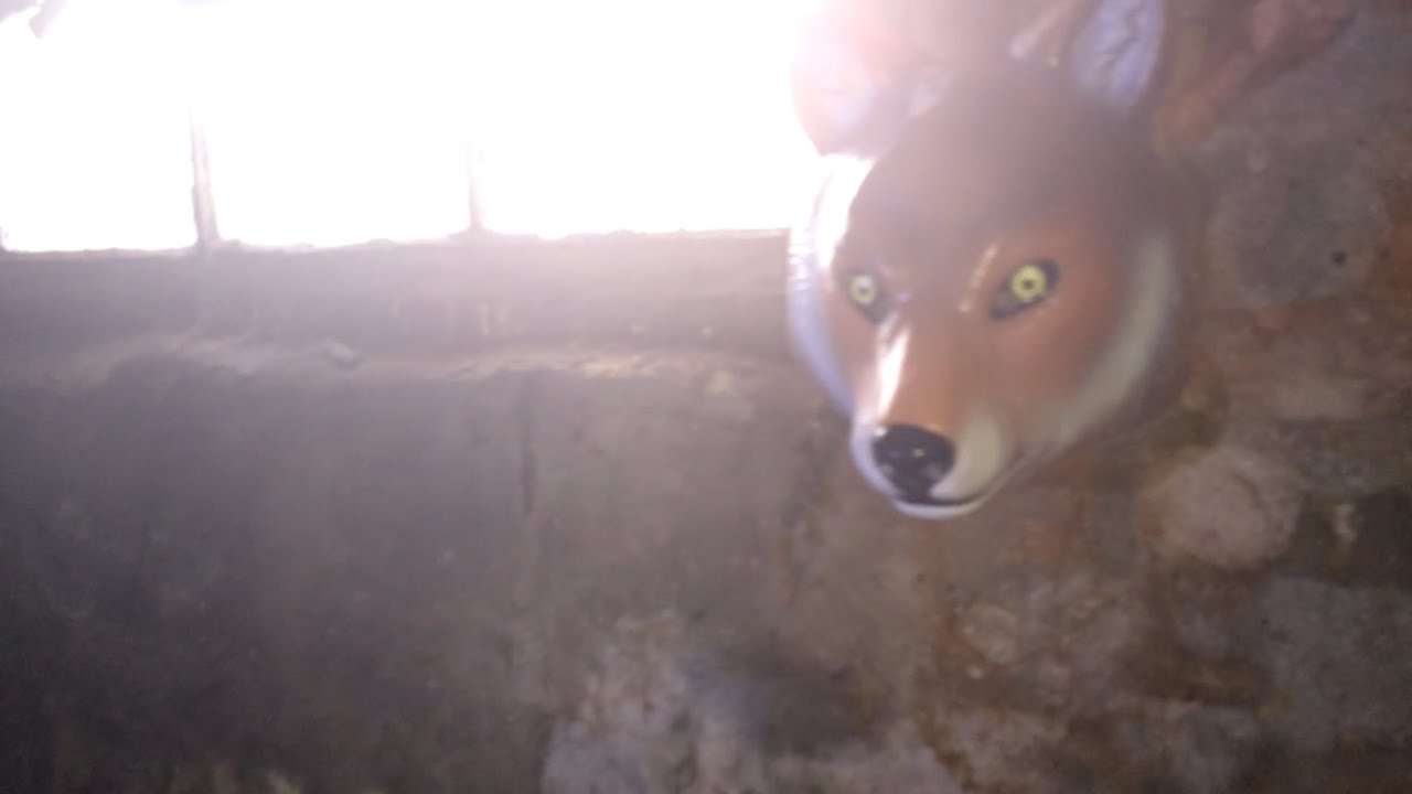 Finding Randy (2020) - Official Teaser