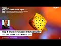 TOP 5 TIPS FOR MACRO PHOTOGRAPHY with Dr. Alex Tattersall