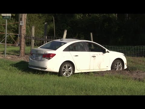 Police chase spans three counties