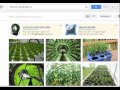 Hydroponics Gardening - How to Grow Flowers and ...