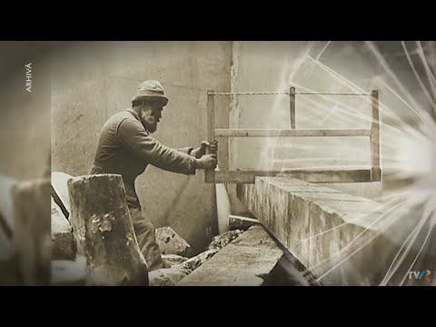 Poesis: Constantin Lupescu – Brâncuşi în atelierul artei moderne de Petre Ghelmez (@Arhiva TVR)