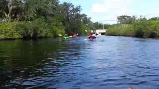 preview picture of video 'Kayaking Trip at Upper Tampa Bay Park Trail.'