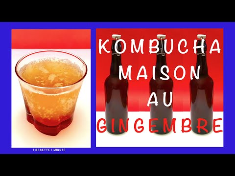 Recette Kombucha gingembre maison