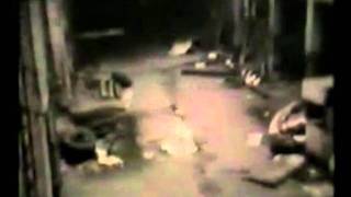 PSYCHIC TV - TERMINUS (High Quality Audio)