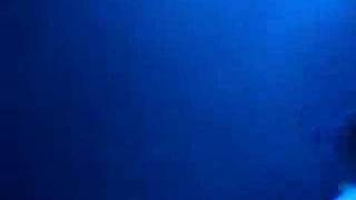 Flickerstick  - got a feeling live HOB Dallas, TX