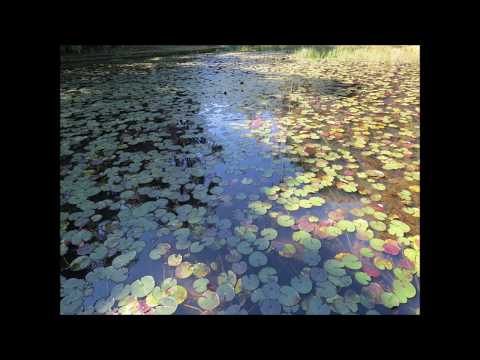 A Grande Síntese - Parte I