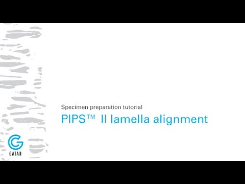 Lamella alignment on the PIPS II system
