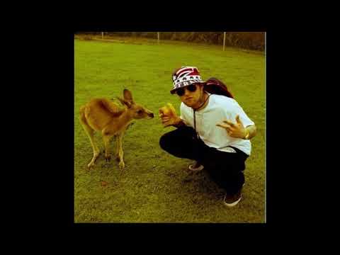 Mac Miller - Dead Presidents