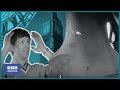 1967: HOW does BIG BEN BONG? | Blue Peter | Science and Nature | BBC Archive