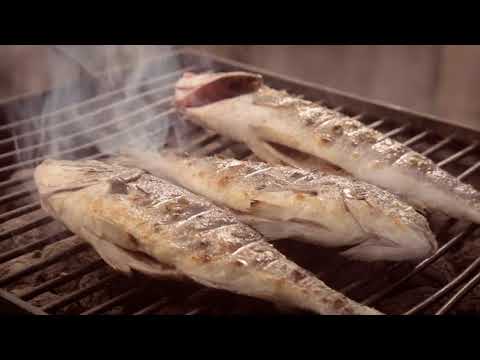 TROGIR  Inspired By Stone  Beautiful city in CROATIA