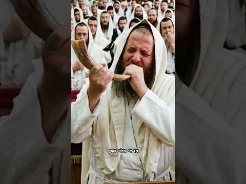 Reframe Your Elul 🌹