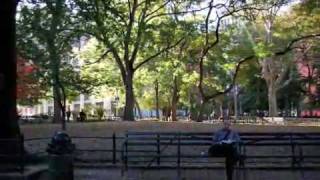 the way his collar falls