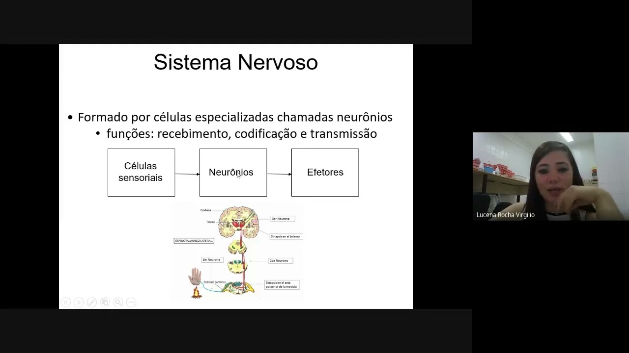 Biofisica -  Bioeletrecidade