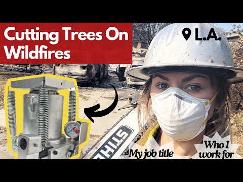 Working On Wildfires As A Timber Faller | Feat. My Time In L.A.