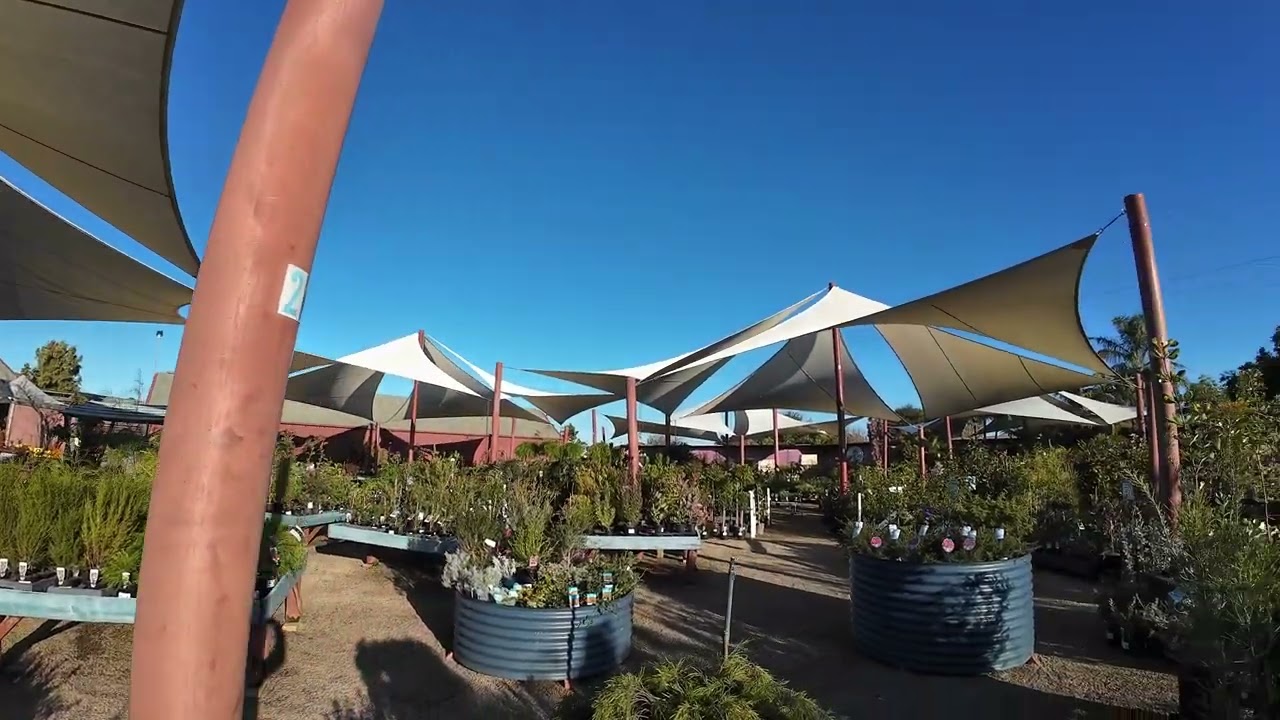Riverside Gardens Garden Centre | Fruit Trees, Flowers & Nursery Walk