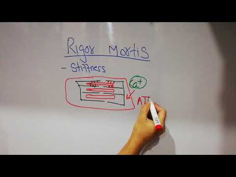Guyton chapter 6 | Rigor mortis | Medical Physiology lecture 40