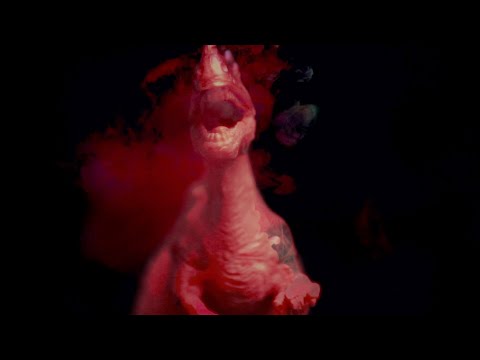 Black Canova - Evolution (Official Music Video)