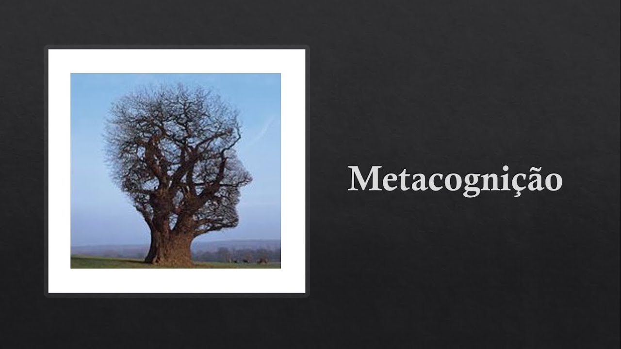 Metacognição: Como pensar sobre o pensamento?