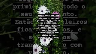 24 de março de 2026