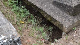 If You Ever See This In A Cemetery You Should Run In The Other Direction FAST.