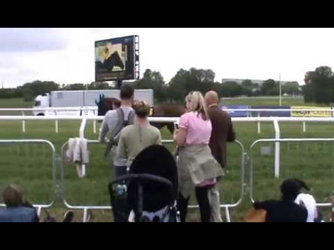 Nationaldagsgaloppen på gärdet 2014