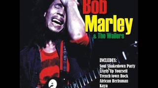 Soul Shakedown Party - Bob Marley & The Wailers