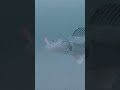 Video Thumbnail for Crazy Walleye Eating Underwater Lure!