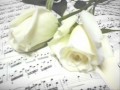 Klajūnai - Baltos rožės