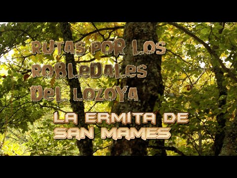 Rutas por los Robledales del Lozoya- La Ermita de San Mamés