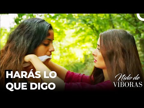 La Tortura De Elvan A Sebnem - Nido De Víboras