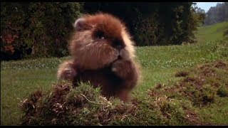 Caddyshack HD Music Video - I&#39;m Alright by Kenny Loggins