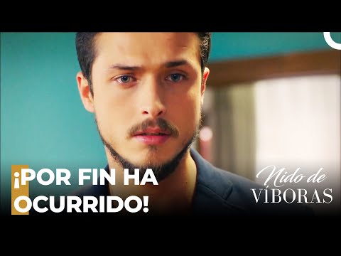 ¡Elvan Logra Su Insidioso Objetivo!  - Nido De Víboras