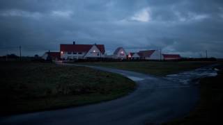 Waλves - Whatever makes you sleep at night