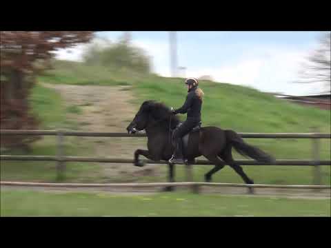 FIZO Kronshof - 30.04.2021 - Impressionen Reiteigenschaften I.Gruppe