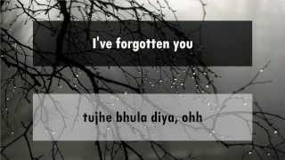 Tujhe Bhula Diya - Anjaana Anjaani [hindi lyrics - english