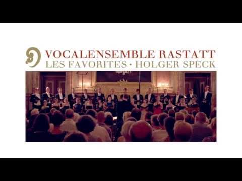 Vocalensemble Rastatt (Leitung: Holger Speck) at work