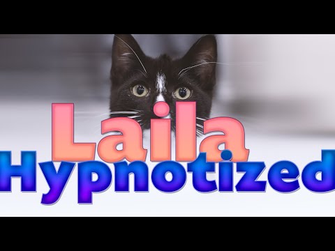 Cat Getting Hypnotized