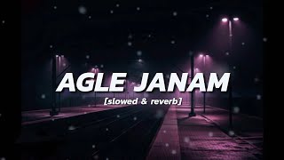 Agle Janam (Slowed & Reverb)- Rishi Roy  Hindi