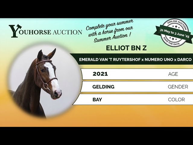 Elliot flatwork
