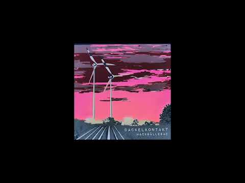 Dackelkontakt - Stein