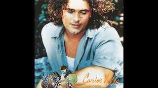 19 de Noviembre - Carlos Vives y la Gente de la Provincia - LETRA #CarlosVives #vallenato 