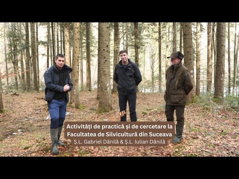 Activități de practică și de cercetare la Facultatea de Silvicultură din Suceava