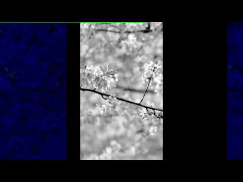 Da me tua visão 546 hcc baixo