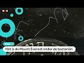Grootste bacterie ooit gevonden