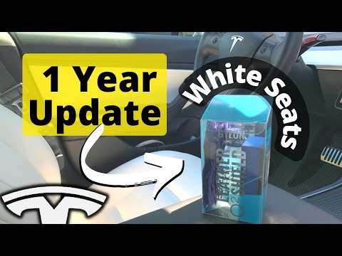 Tesla White Seat Ceramic Coat 👉🏻1 Year Later UPDATE | Model 3 🔥 Model Y Gyeon Leather Shield