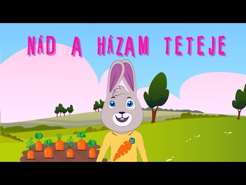 BRANDNYÚL - NÁD A HÁZAM TETEJE 🌾🏠🔝🛬🐦