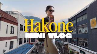 【箱根Vlog】日帰り温泉と美味しいものを満喫した休日