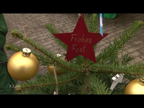 Realer Irrsinn: Die Tannenbaumsteuer | extra 3 | NDR