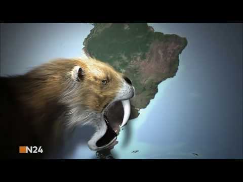 Thylacosmilus vs Macrauchenia - Тилакосмил против Макраухении [RUS]