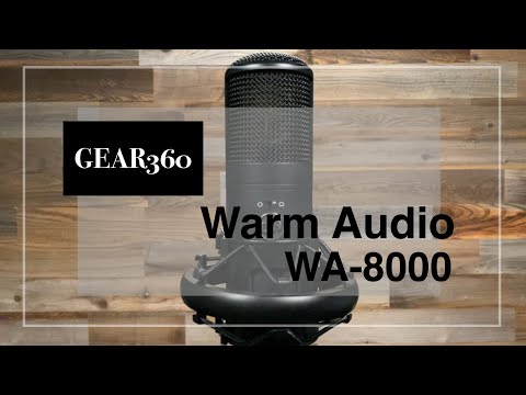 Warm Audio WA-8000 Tube Microphone image 9